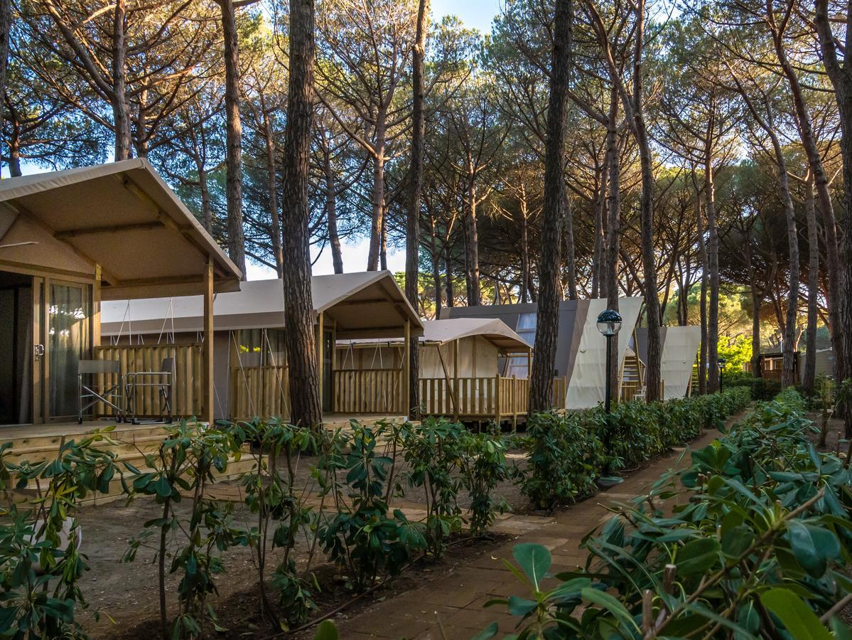 Camping Free Beach Marina Di Bibbona Eksteriør bilde